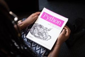 python programmer