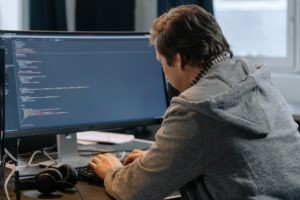 python programmer