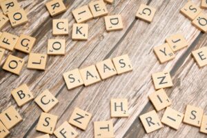 saas development