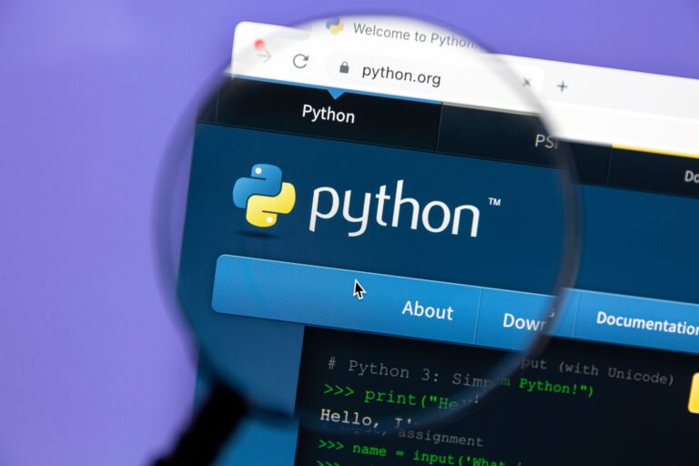 2025 IT Salary Guide: Insights for Python Developers