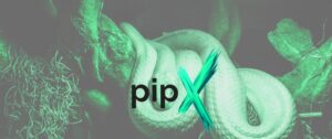 python pipx